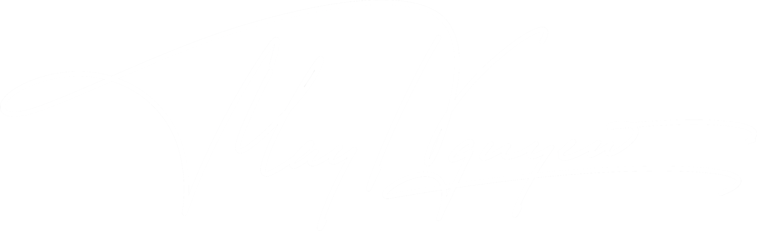 Người hướng nội kinh doanh độc lập bằng chính chuyên môn của mình